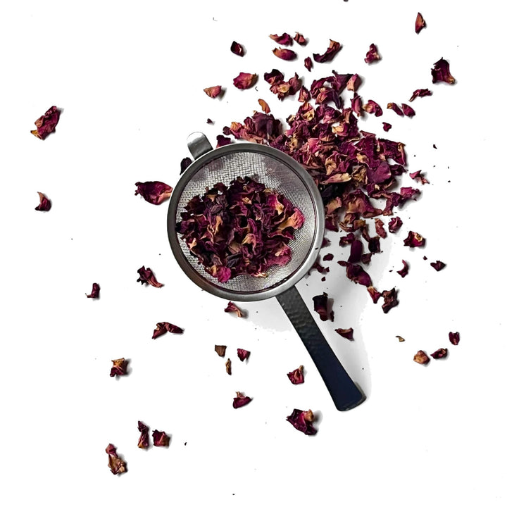 Tea Strainer - Thistle & Sprig Tea Co.